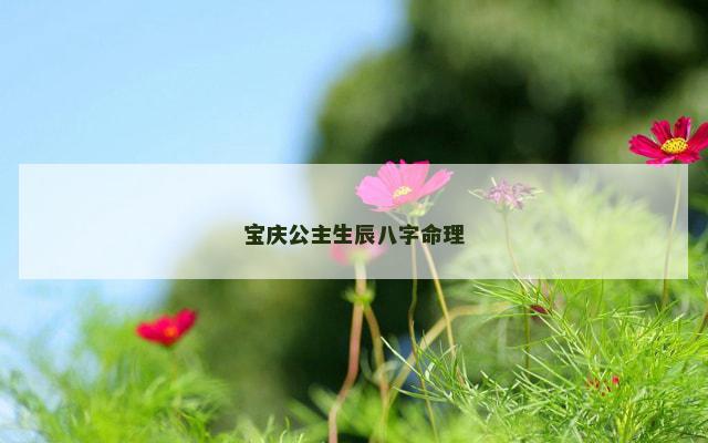 宝庆公主生辰八字命理