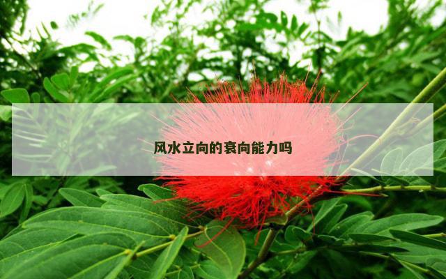 风水立向的衰向能力吗
