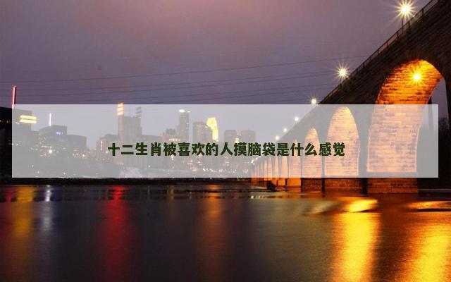 十二生肖被喜欢的人摸脑袋是什么感觉