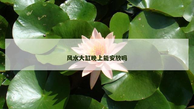 风水大缸晚上能安放吗