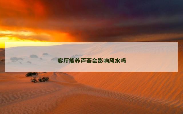客厅能养芦荟会影响风水吗