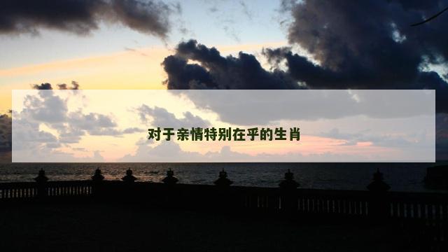 对于亲情特别在乎的生肖