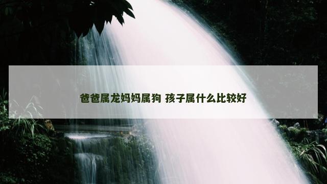 爸爸属龙妈妈属狗 孩子属什么比较好