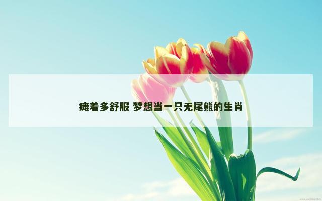 瘫着多舒服 梦想当一只无尾熊的生肖