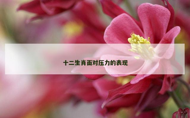 十二生肖面对压力的表现