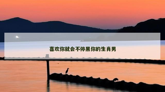 喜欢你就会不停黑你的生肖男