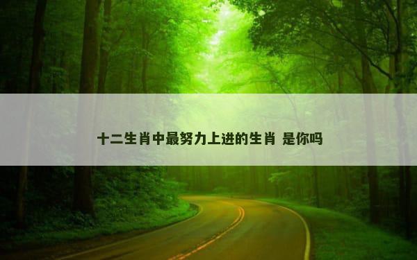 十二生肖中最努力上进的生肖 是你吗