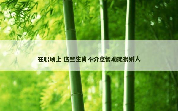 在职场上 这些生肖不介意帮助提携别人
