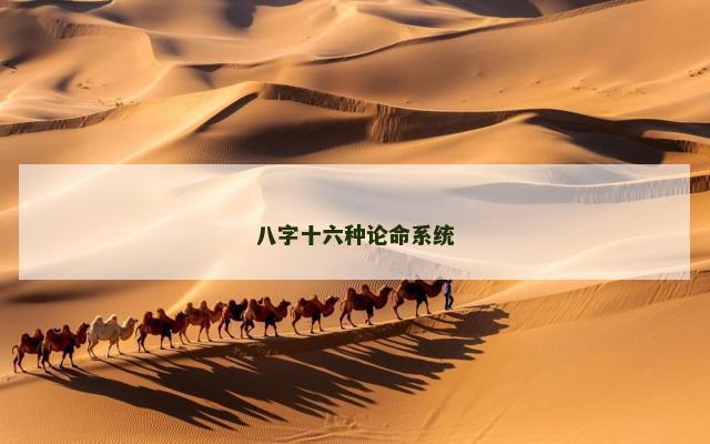 八字十六种论命系统