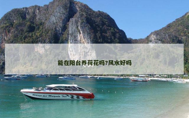 能在阳台养荷花吗?风水好吗