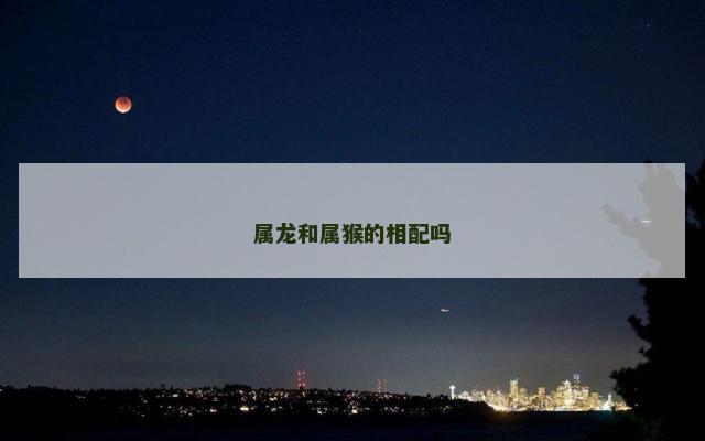 属龙和属猴的相配吗