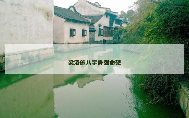 梁洛施八字身强命硬