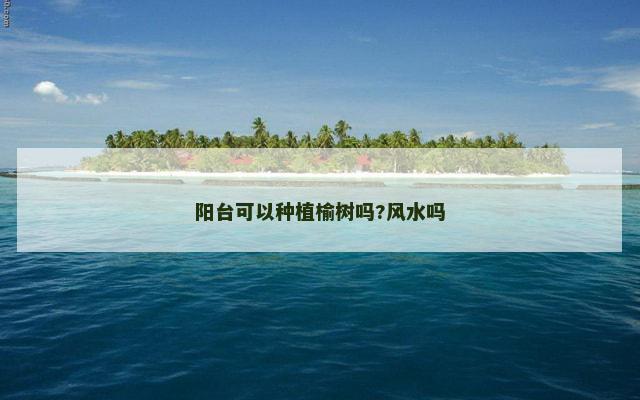 阳台可以种植榆树吗?风水吗
