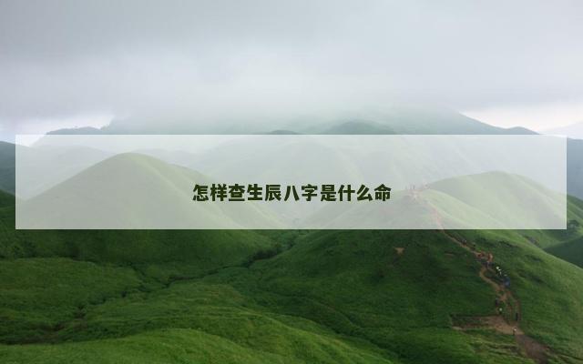 怎样查生辰八字是什么命