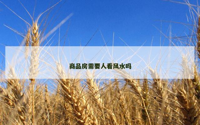商品房需要人看风水吗