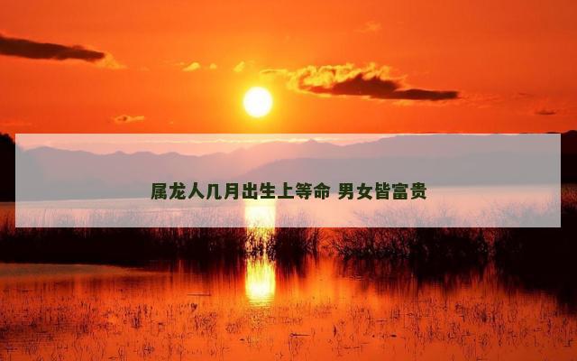 属龙人几月出生上等命 男女皆富贵