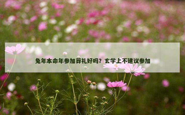 兔年本命年参加葬礼好吗？玄学上不建议参加
