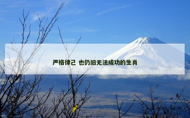严格律己 也仍旧无法成功的生肖
