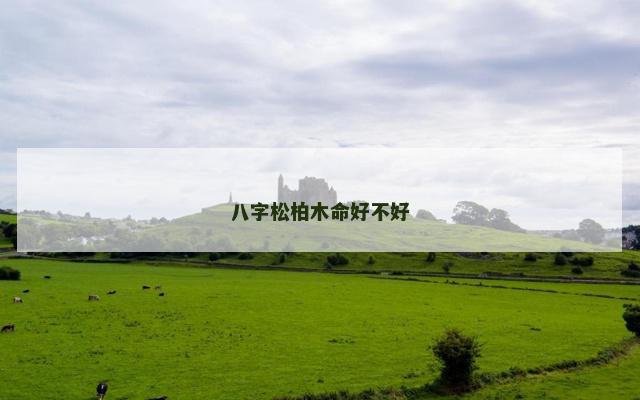 八字松柏木命好不好