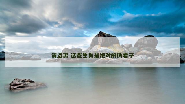 请远离 这些生肖是绝对的伪君子