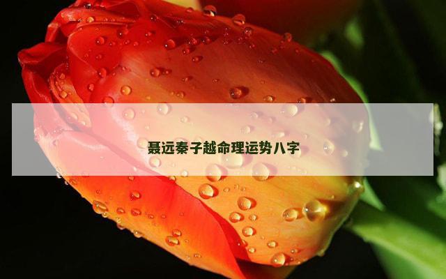 聂远秦子越命理运势八字