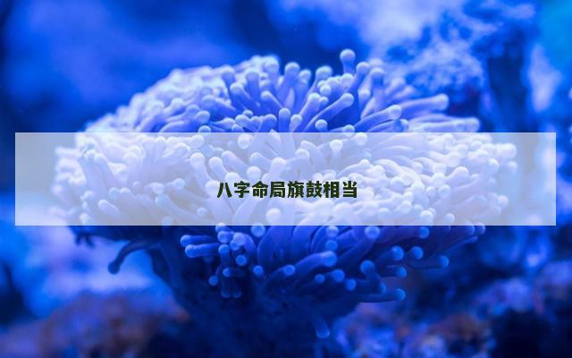 八字命局旗鼓相当