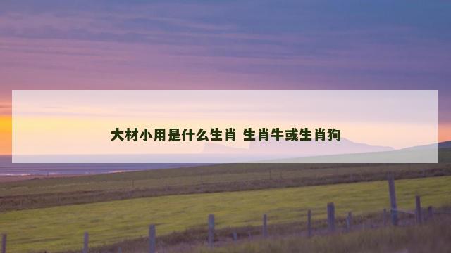 大材小用是什么生肖 生肖牛或生肖狗