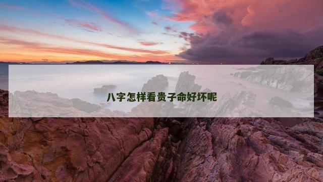 八字怎样看贵子命好坏呢