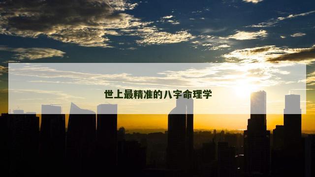 世上最精准的八字命理学