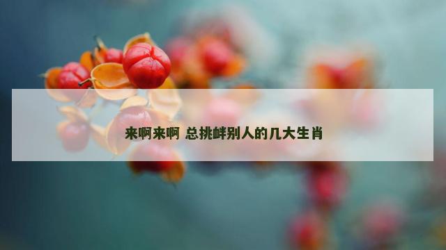 来啊来啊 总挑衅别人的几大生肖