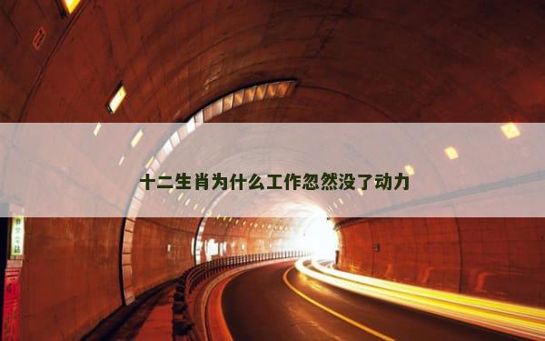 十二生肖为什么工作忽然没了动力