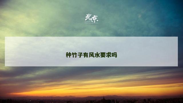 种竹子有风水要求吗