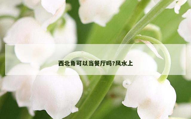 西北角可以当餐厅吗?风水上