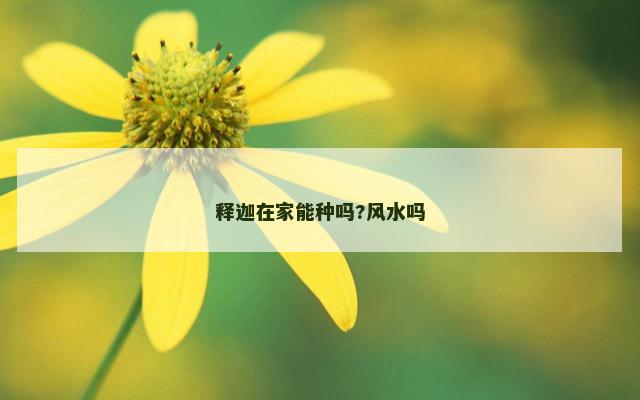 释迦在家能种吗?风水吗