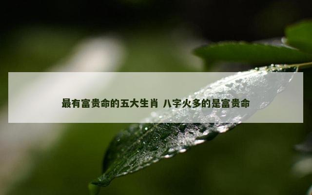 最有富贵命的五大生肖 八字火多的是富贵命