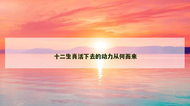 十二生肖活下去的动力从何而来