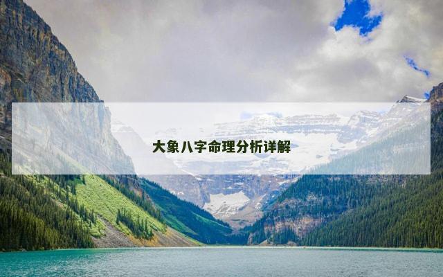 大象八字命理分析详解