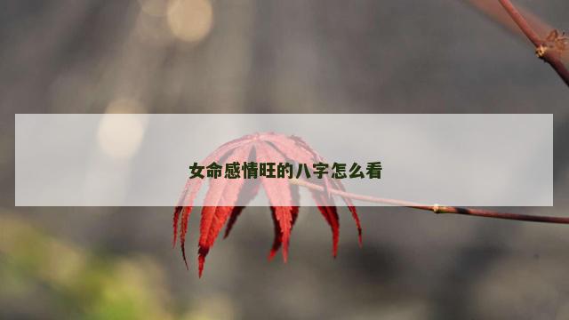 女命感情旺的八字怎么看
