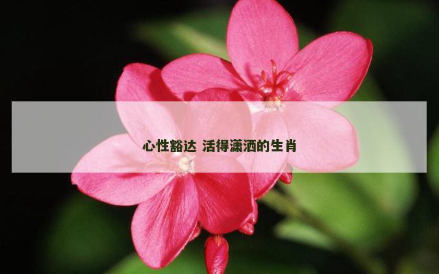 心性豁达 活得潇洒的生肖