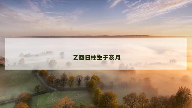 乙酉日柱生于亥月