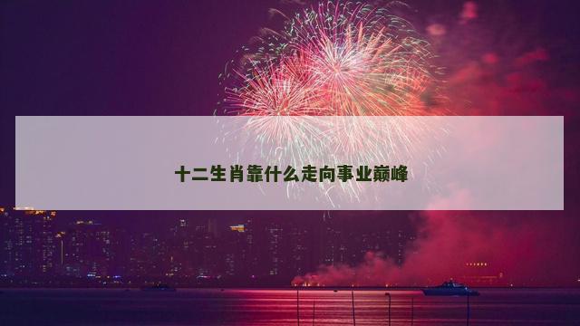 十二生肖靠什么走向事业巅峰