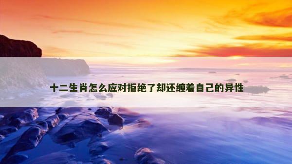 十二生肖怎么应对拒绝了却还缠着自己的异性