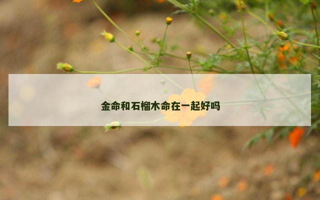 金命和石榴木命在一起好吗