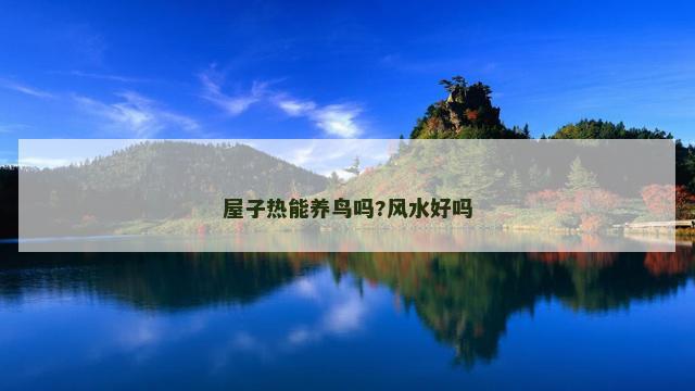 屋子热能养鸟吗?风水好吗