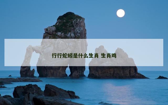 行行蛇蚓是什么生肖 生肖鸡