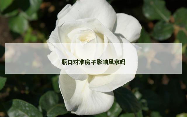 瓶口对准房子影响风水吗
