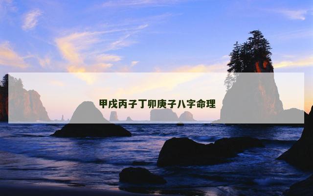 甲戌丙子丁卯庚子八字命理