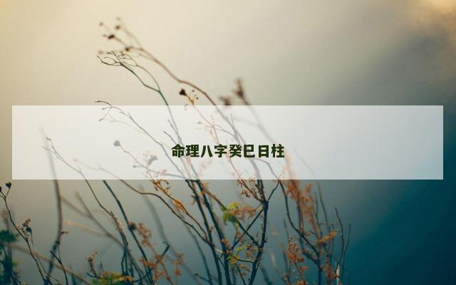 命理八字癸巳日柱