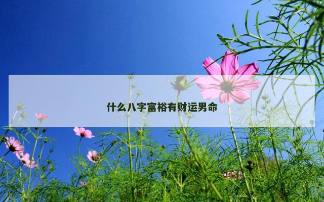 什么八字富裕有财运男命