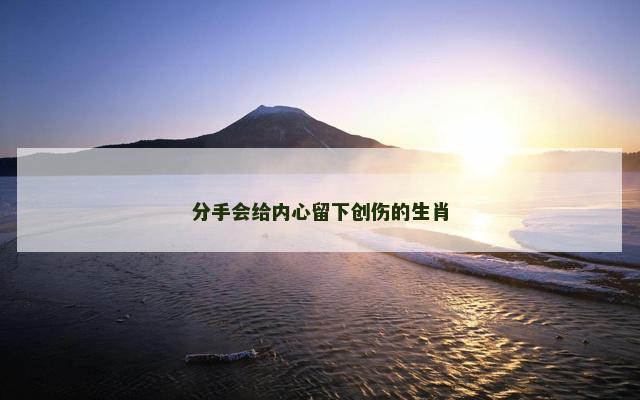 分手会给内心留下创伤的生肖